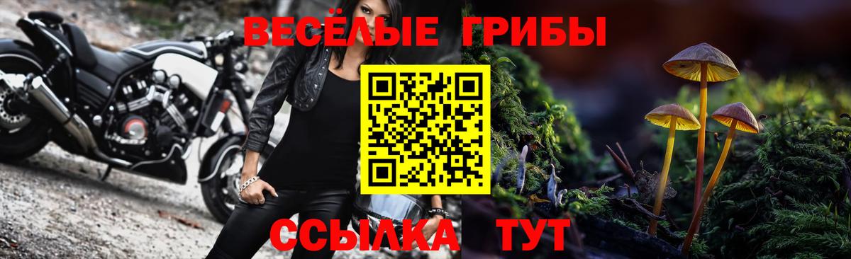 Псилоцибиновые грибы Cubensis Клин